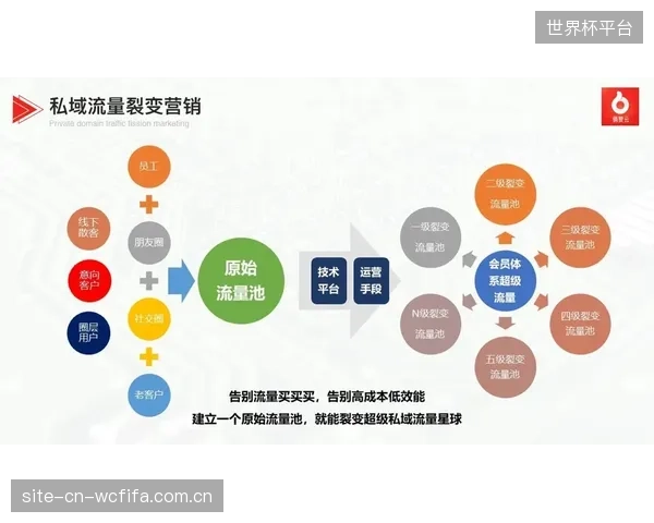 下一个周期，由体育营销公司运营的专业志愿者服务机构（VSO）将大量涌现